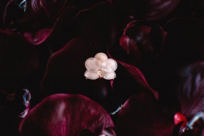 Nouvelle collaboration florale entre la maison Guérin x Leonard Paris 